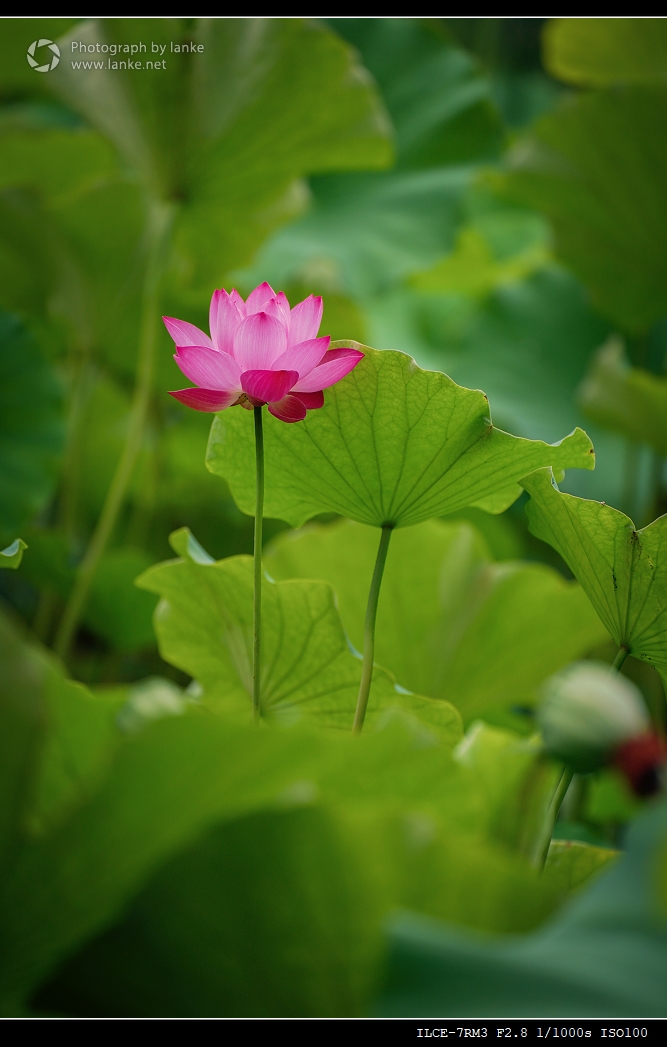 u_a06_DSC07921